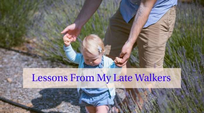 Lessons From My Late Walkers