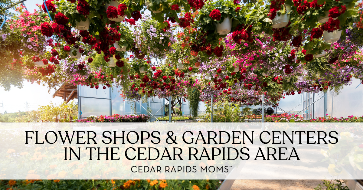 flower shops